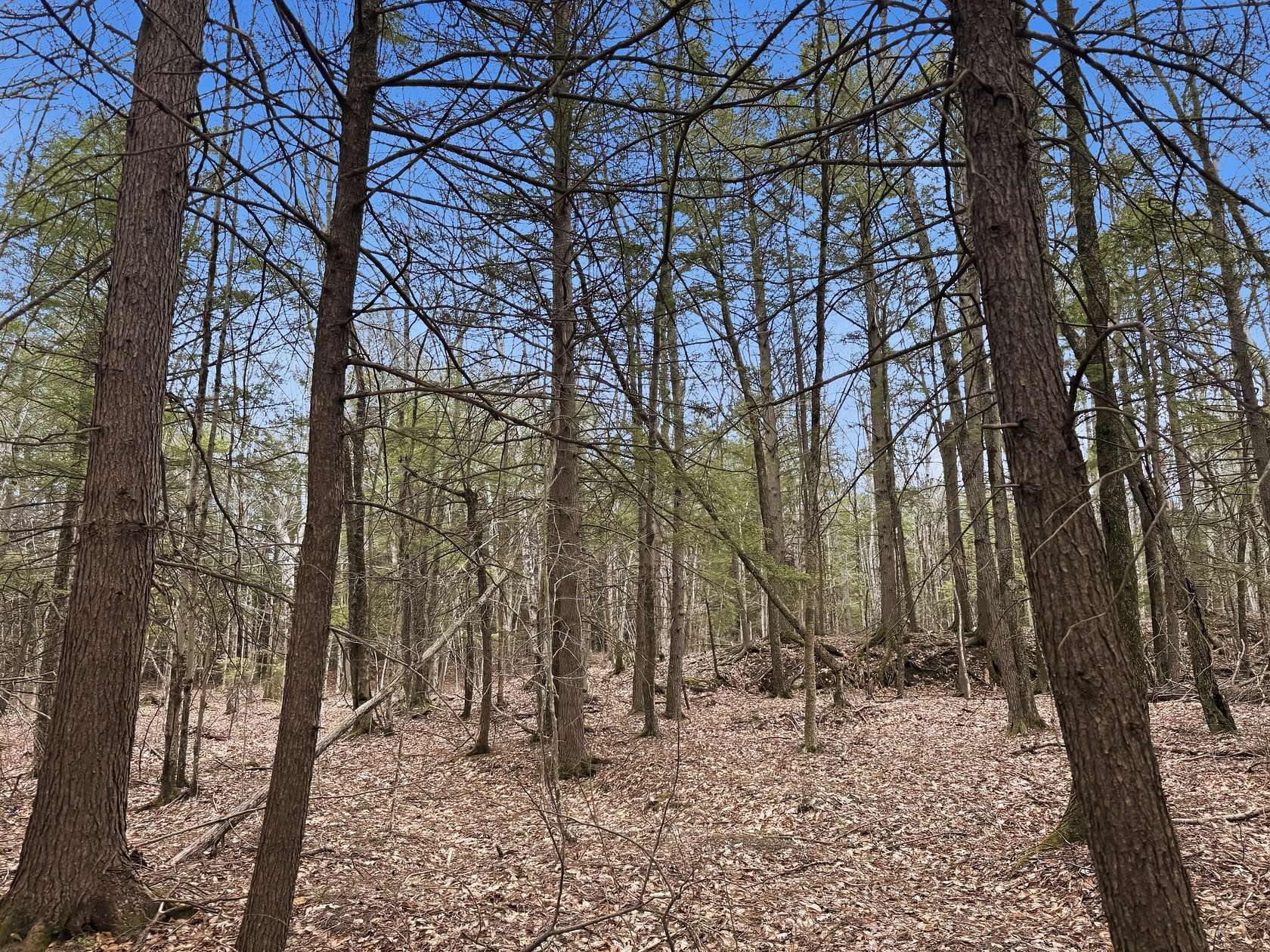28.2 Acres of Land for Sale in Brunswick, Maine