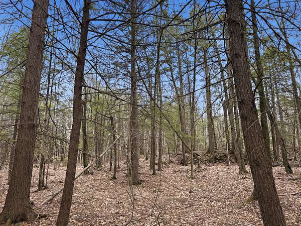 28.2 Acres of Land for Sale in Brunswick, Maine