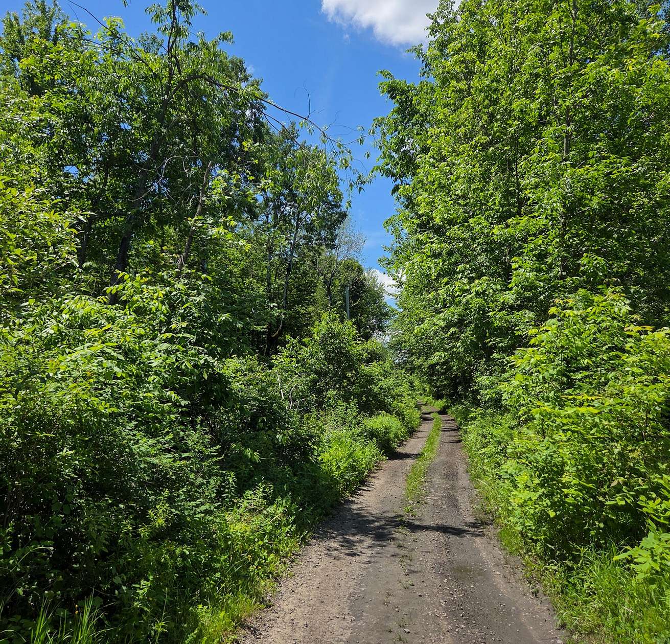 201 Acres of Land for Sale in Moira, New York