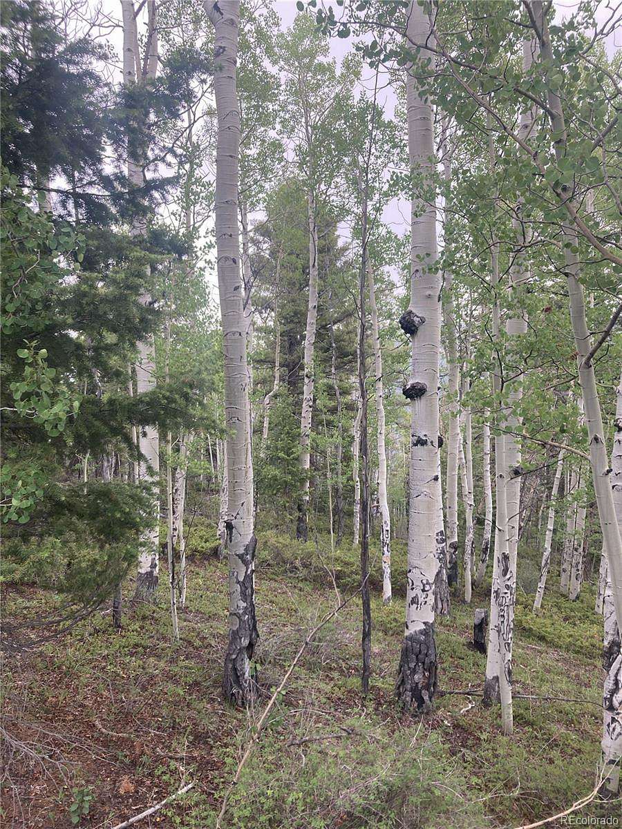 12 Acres of Recreational & Residential Land for Sale in San Luis, Colorado