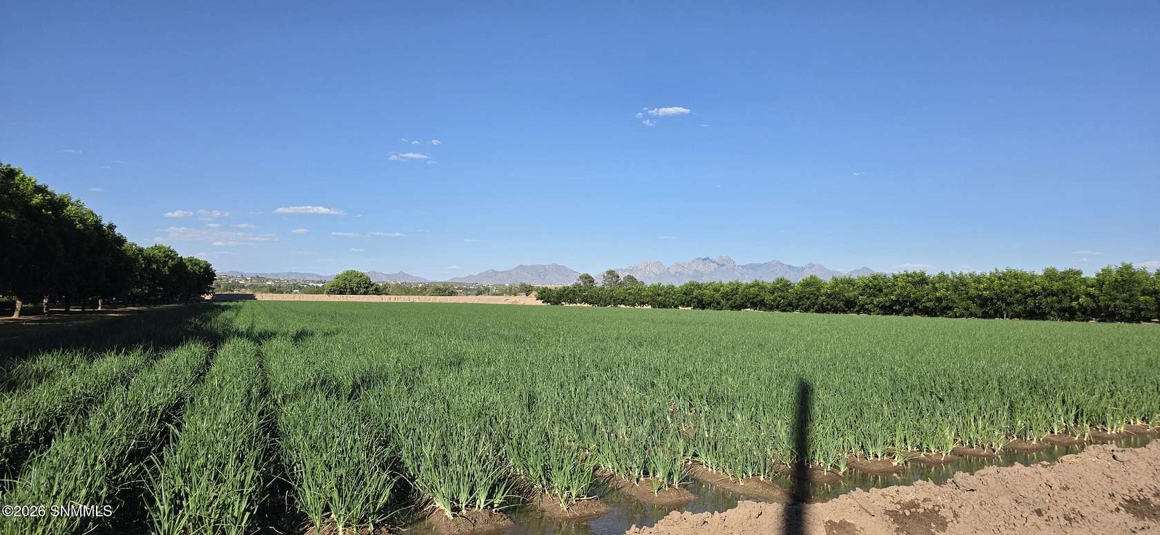 Land for Sale in Las Cruces, New Mexico