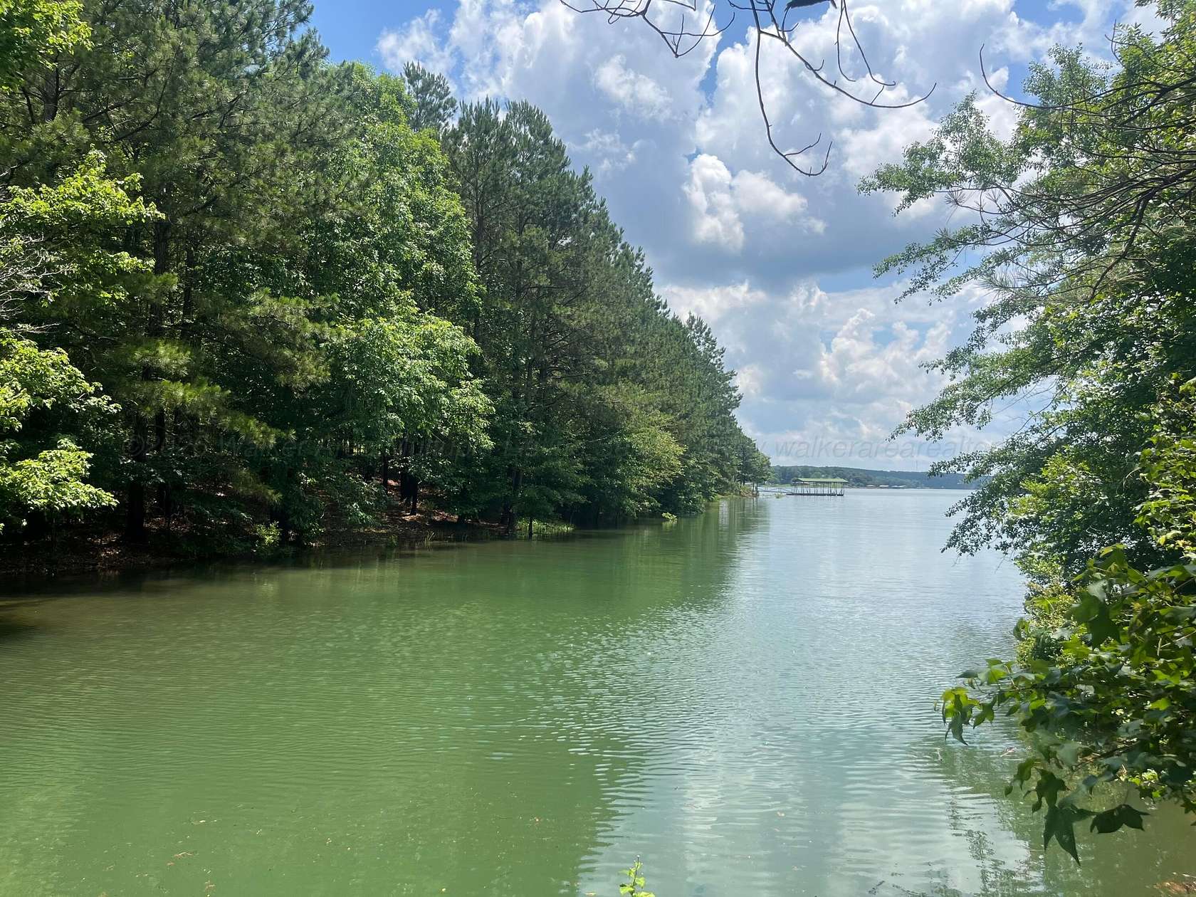 1.18 Acres of Residential Land for Sale in Double Springs, Alabama
