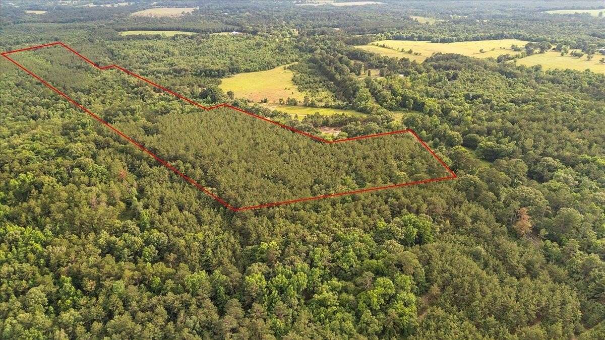 58.4 Acres of Recreational & Residential Land for Sale in Laneville, Texas