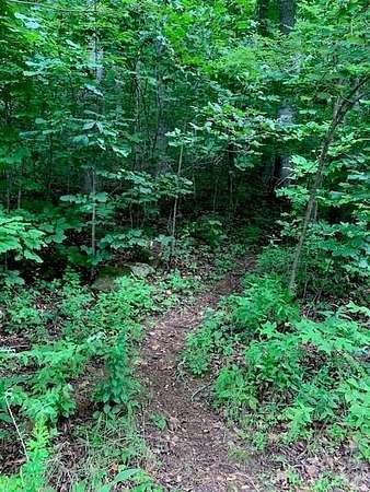 0.52 Acres of Residential Land for Sale in Montreat, North Carolina