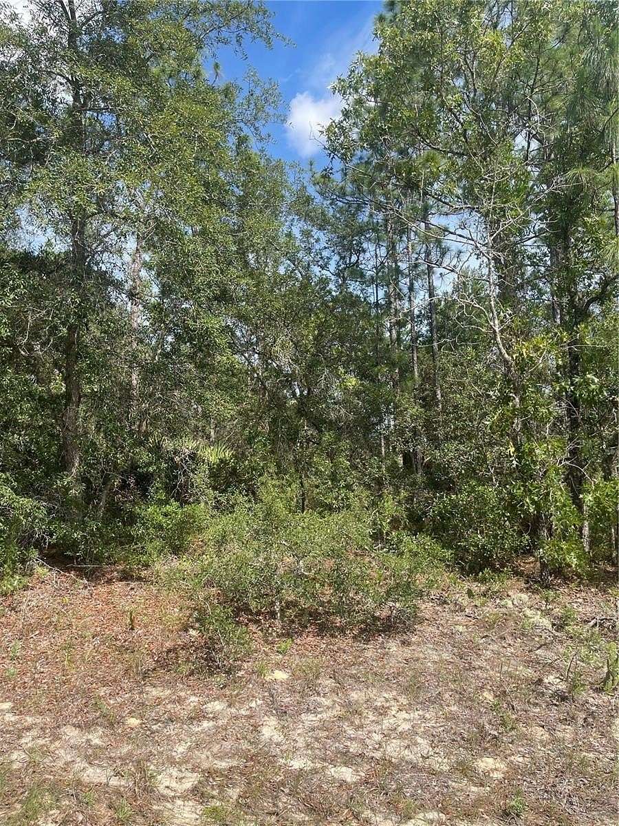 1 Acre of Residential Land for Sale in Beverly Hills, Florida