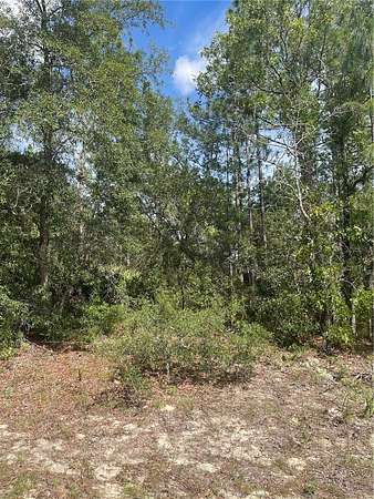 1 Acre of Residential Land for Sale in Beverly Hills, Florida
