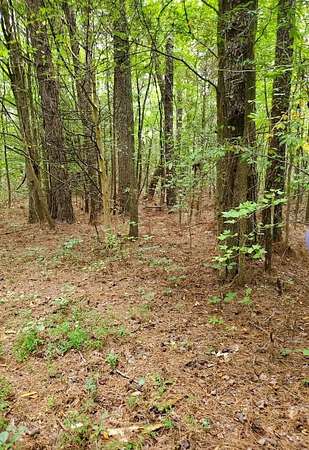 2.5 Acres of Land for Sale in Paris, Tennessee
