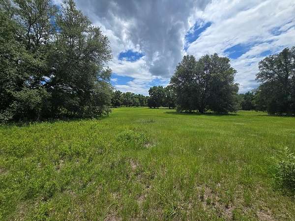 9.16 Acres of Residential Land for Sale in Chiefland, Florida