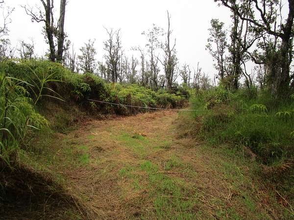 3 Acres of Land for Sale in Volcano, Hawaii