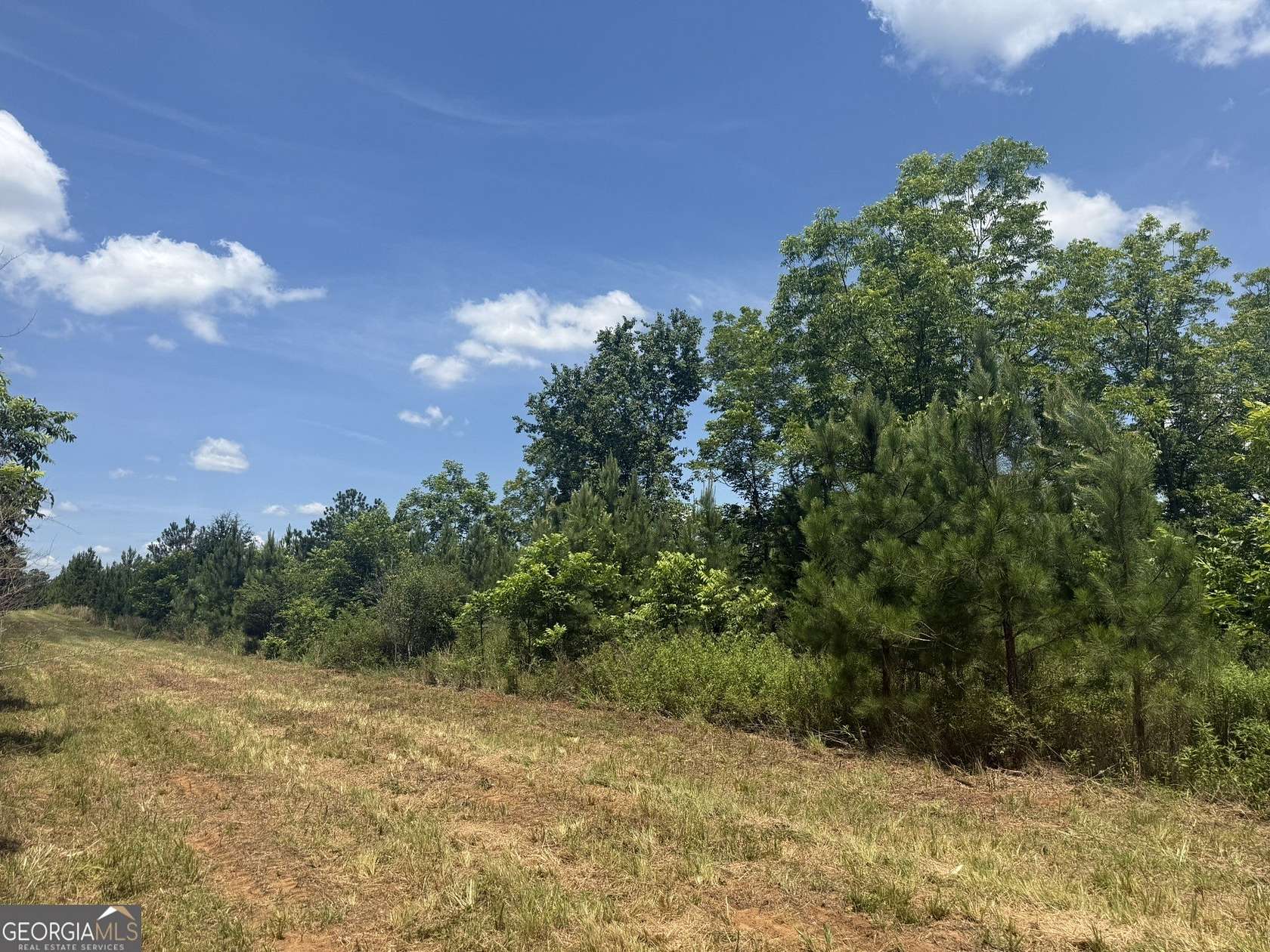 4.16 Acres of Residential Land for Sale in Cuthbert, Georgia