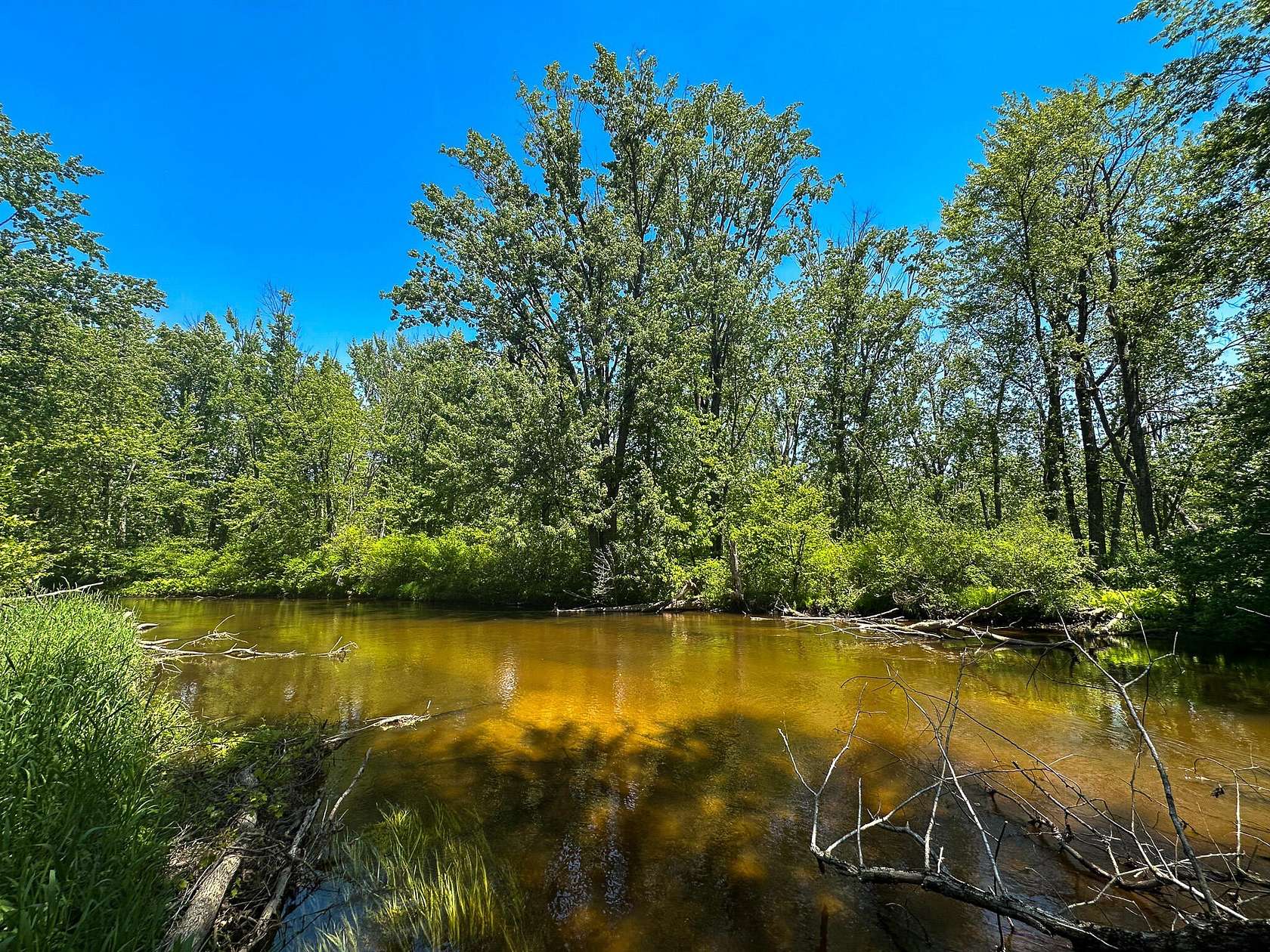 44.5 Acres of Recreational Land for Sale in Custer, Michigan