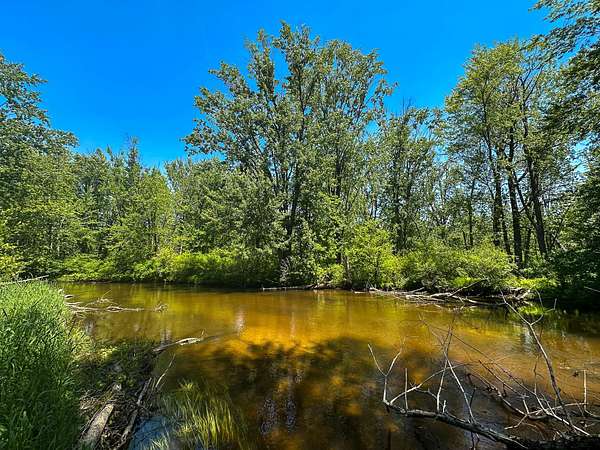 44.5 Acres of Recreational Land for Sale in Custer, Michigan