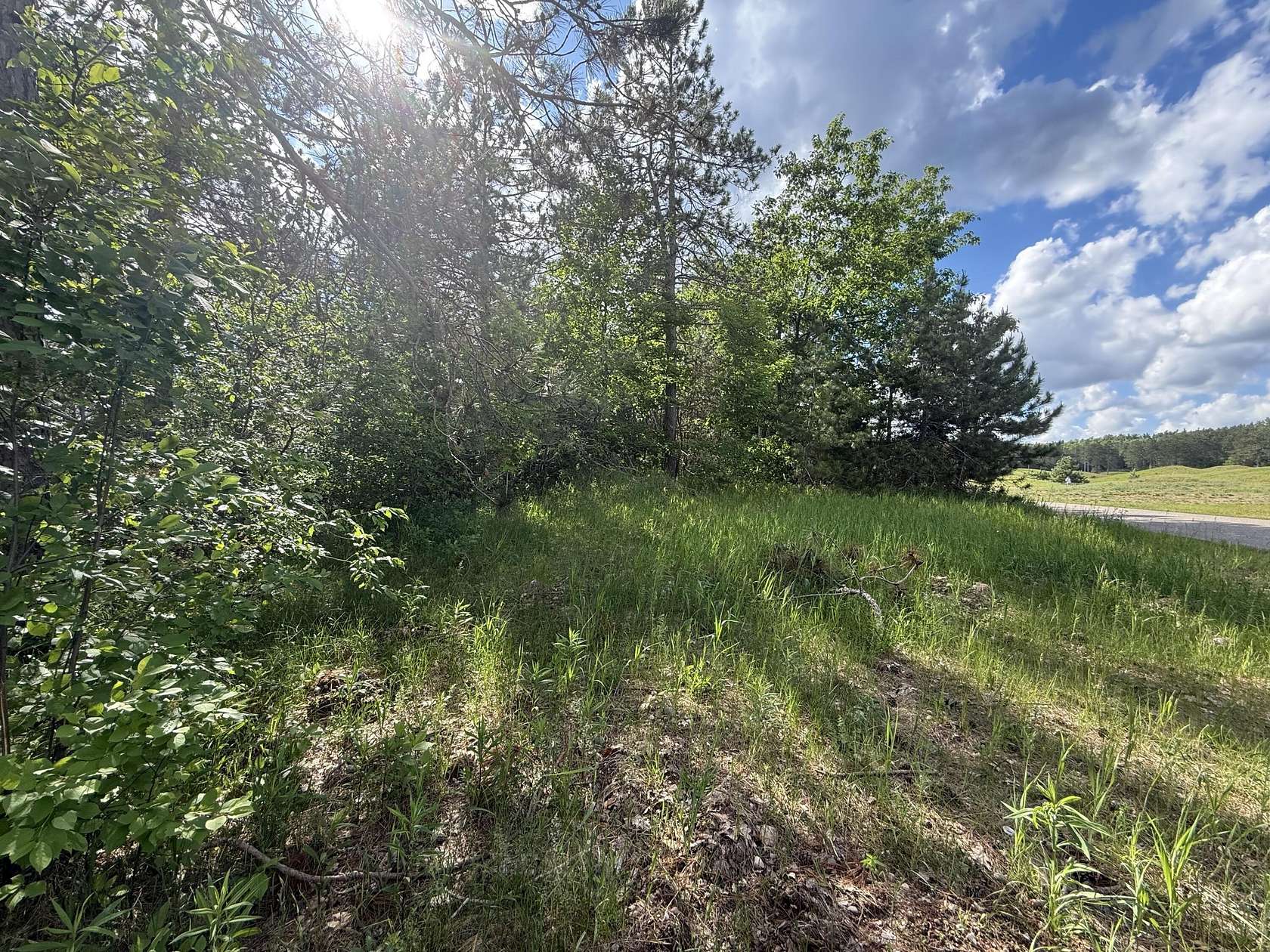 0.49 Acres of Residential Land for Sale in Vanderbilt, Michigan