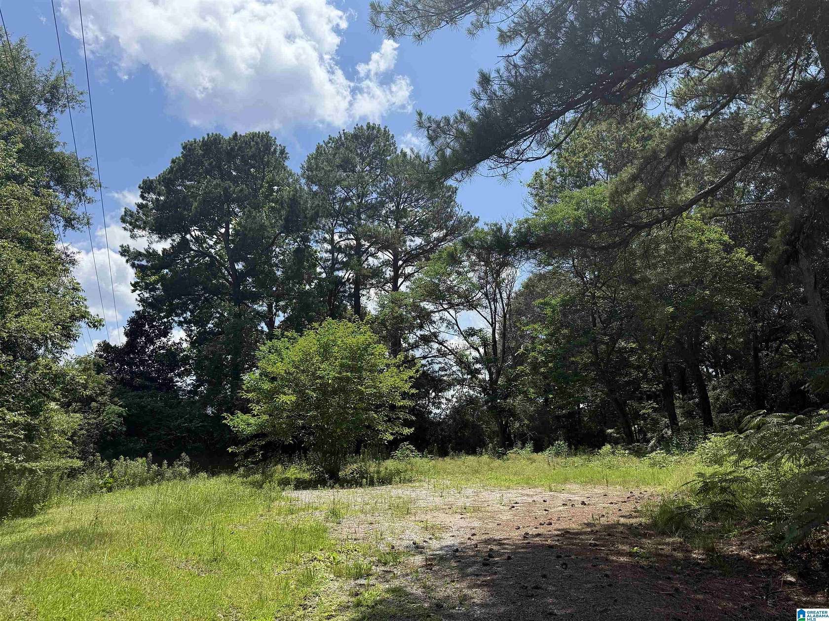 1.5 Acres of Residential Land for Sale in Vincent, Alabama