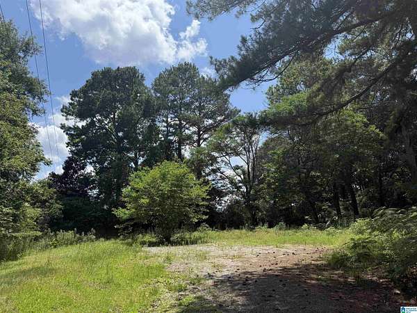 1.5 Acres of Residential Land for Sale in Vincent, Alabama