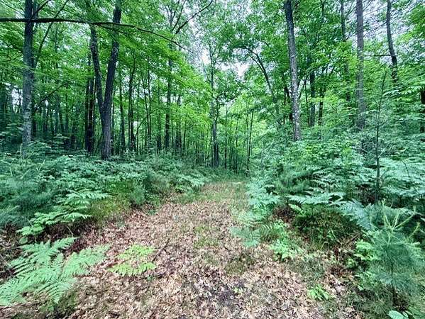 5 Acres of Residential Land for Sale in Hayward, Wisconsin