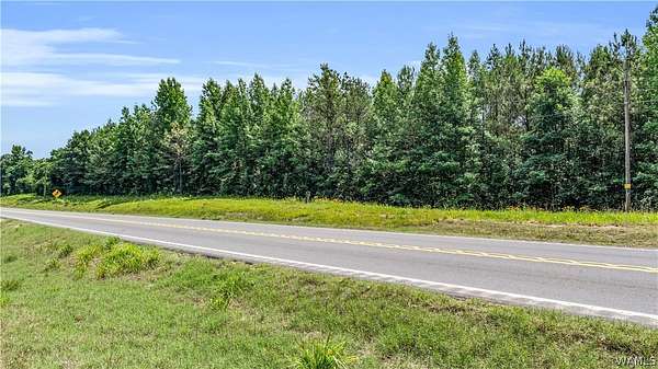 27.3 Acres of Land for Sale in Fayette, Alabama