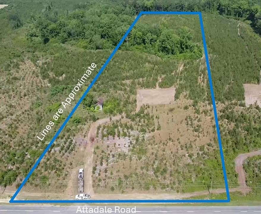 14 Acres of Land for Sale in Blenheim, South Carolina