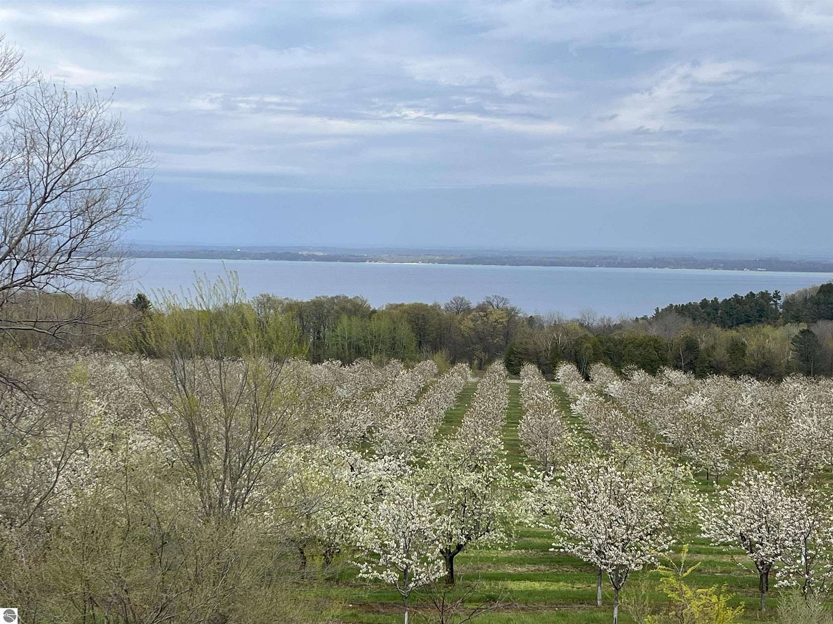 56.3 Acres of Agricultural Land for Sale in Traverse City, Michigan