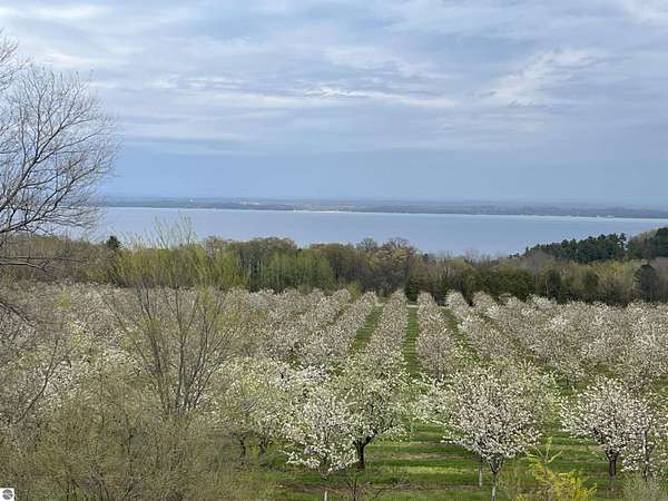 56.3 Acres of Agricultural Land for Sale in Traverse City, Michigan