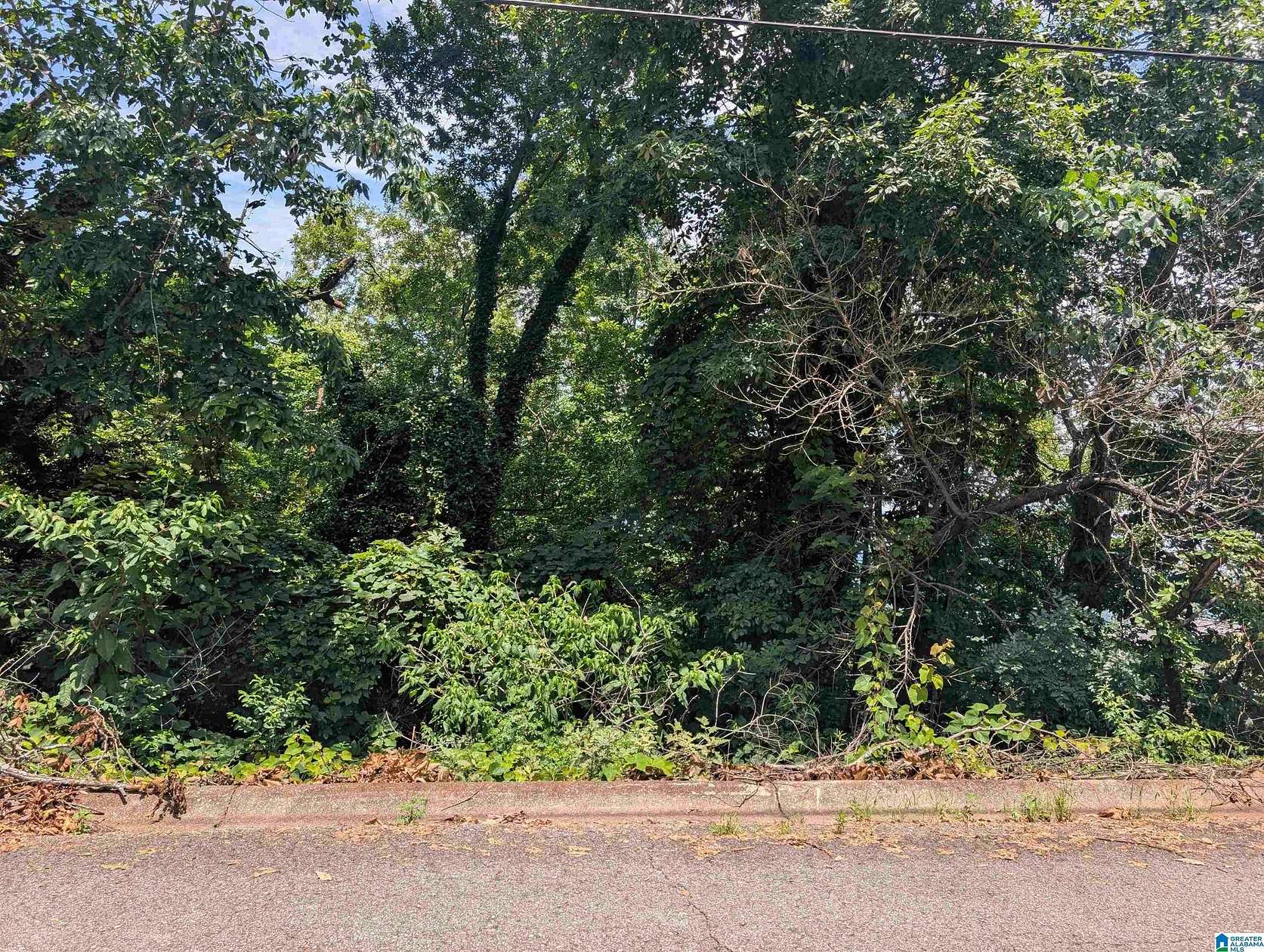 1 Acre of Land for Sale in Anniston, Alabama