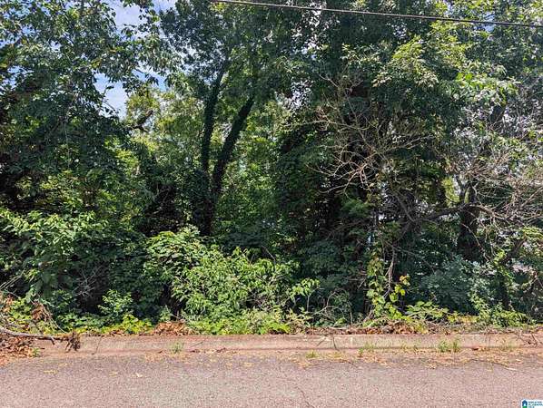 1 Acre of Land for Sale in Anniston, Alabama