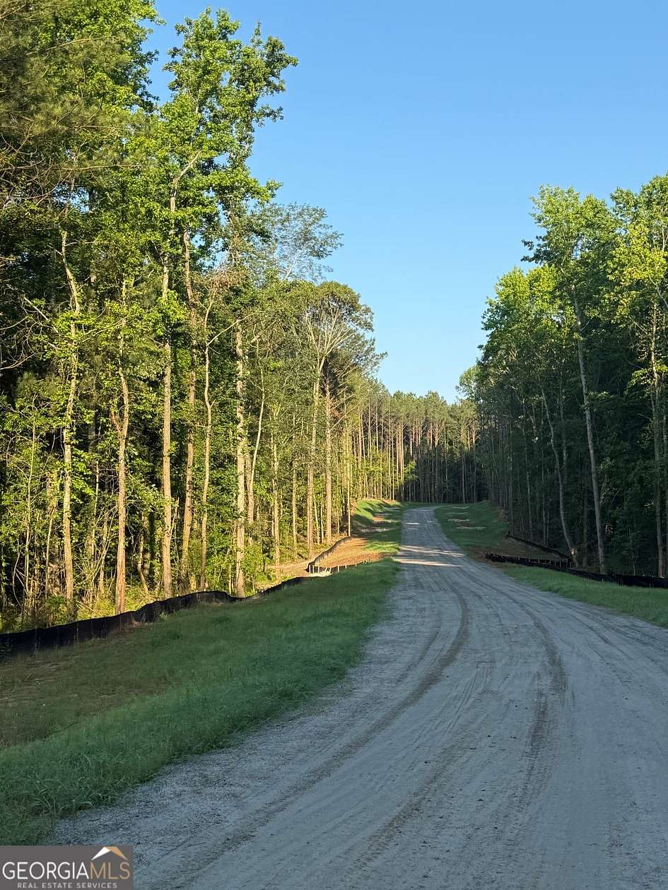 8 Acres of Land for Sale in Sharpsburg, Georgia