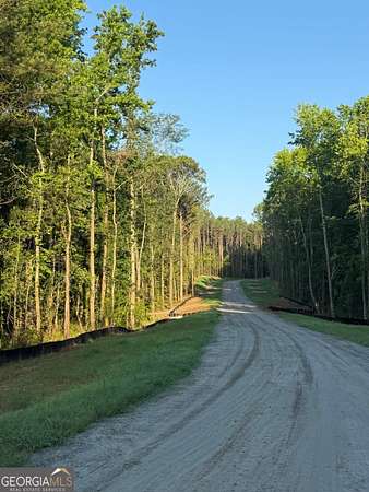 8 Acres of Land for Sale in Sharpsburg, Georgia