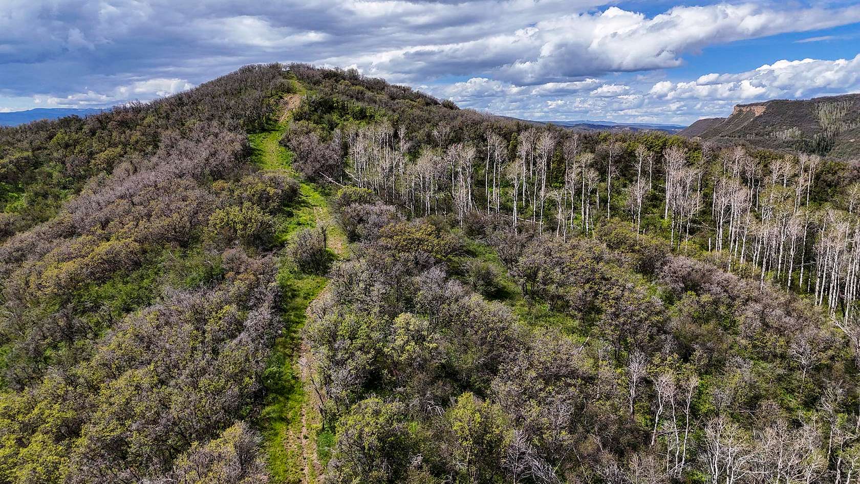 490 Acres of Land for Sale in Steamboat Springs, Colorado
