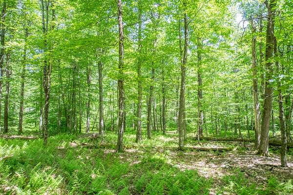 5.35 Acres of Land for Sale in Davenport, New York