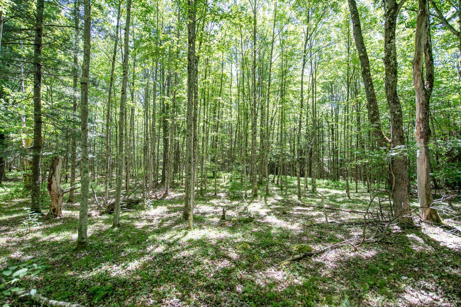 7.14 Acres of Land for Sale in Davenport, New York