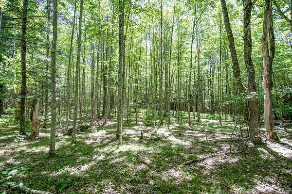 7.14 Acres of Land for Sale in Davenport, New York