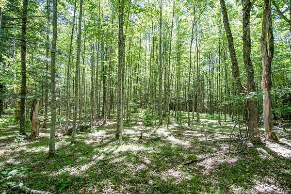 7.14 Acres of Land for Sale in Davenport, New York