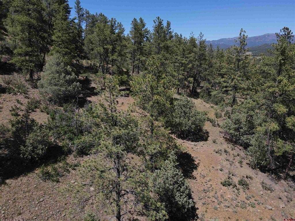 5 Acres of Residential Land for Sale in Pagosa Springs, Colorado