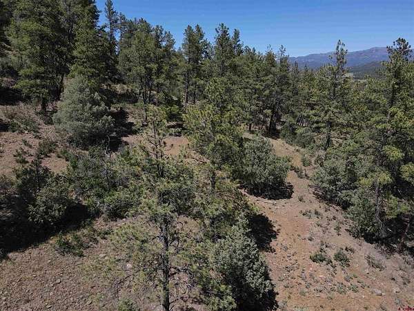 5 Acres of Residential Land for Sale in Pagosa Springs, Colorado