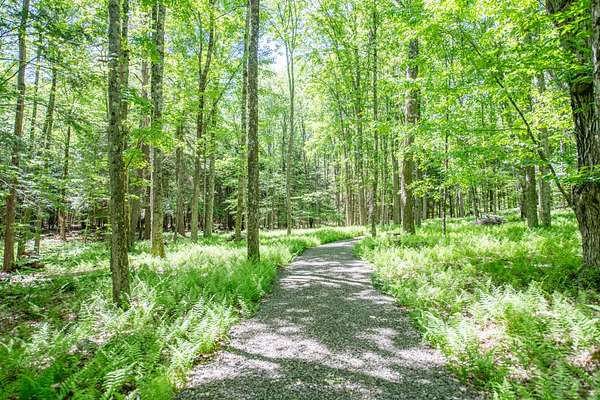 18.8 Acres of Land for Sale in Davenport, New York