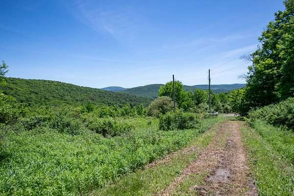 24.5 Acres of Recreational Land for Sale in Hamden, New York