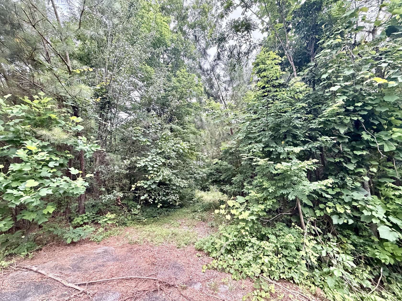 6.12 Acres of Residential Land for Sale in Franklin, Tennessee