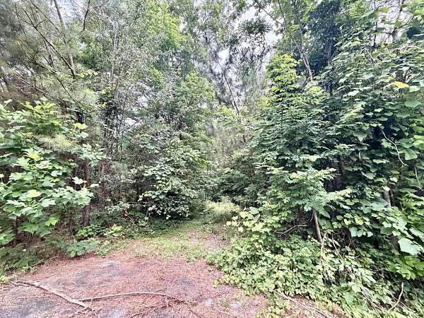6.12 Acres of Residential Land for Sale in Franklin, Tennessee
