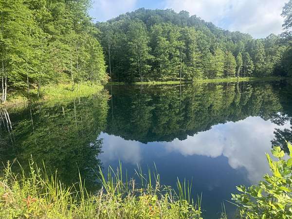 318 Acres of Improved Land for Sale in Morehead, Kentucky