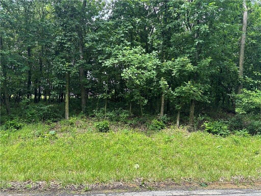 0.55 Acres of Residential Land for Sale in Altamont, Missouri
