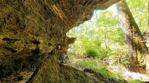 88 Acres of Recreational Land for Sale in Willow Springs, Missouri