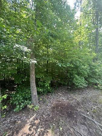 0.25 Acres of Residential Land for Sale in Westminster, South Carolina