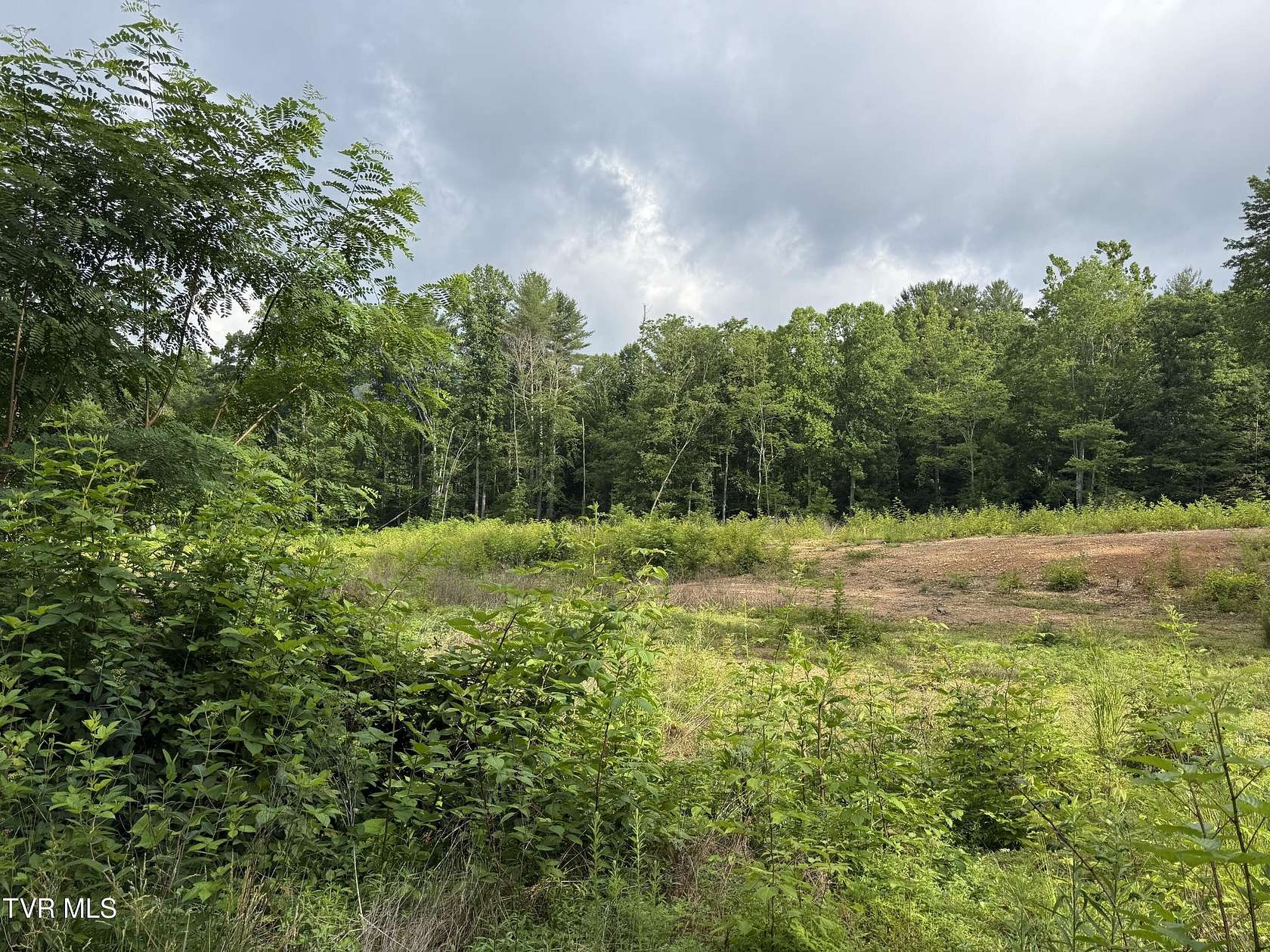 2.6 Acres of Residential Land for Sale in Mountain City, Tennessee