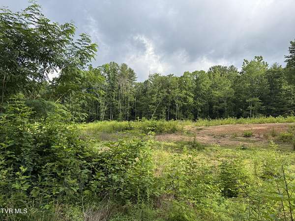 2.6 Acres of Residential Land for Sale in Mountain City, Tennessee