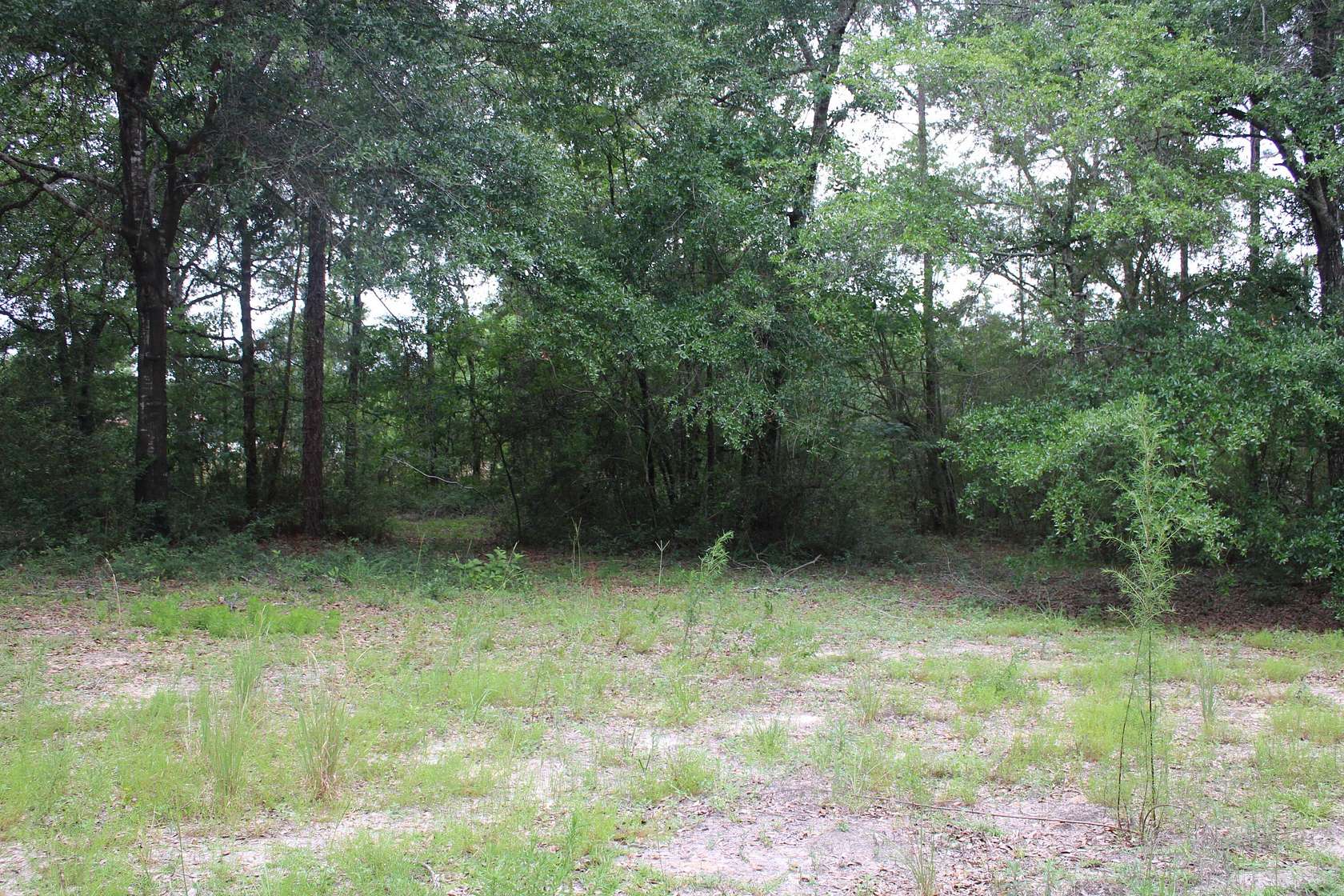 0.56 Acres of Residential Land for Sale in DeFuniak Springs, Florida