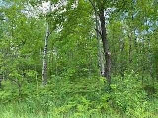 1 Acre of Residential Land for Sale in Mancelona, Michigan