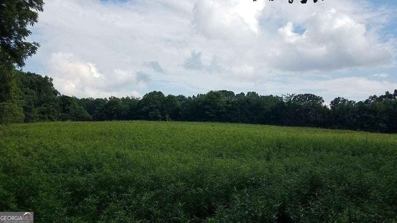 18.5 Acres of Land for Sale in Carnesville, Georgia