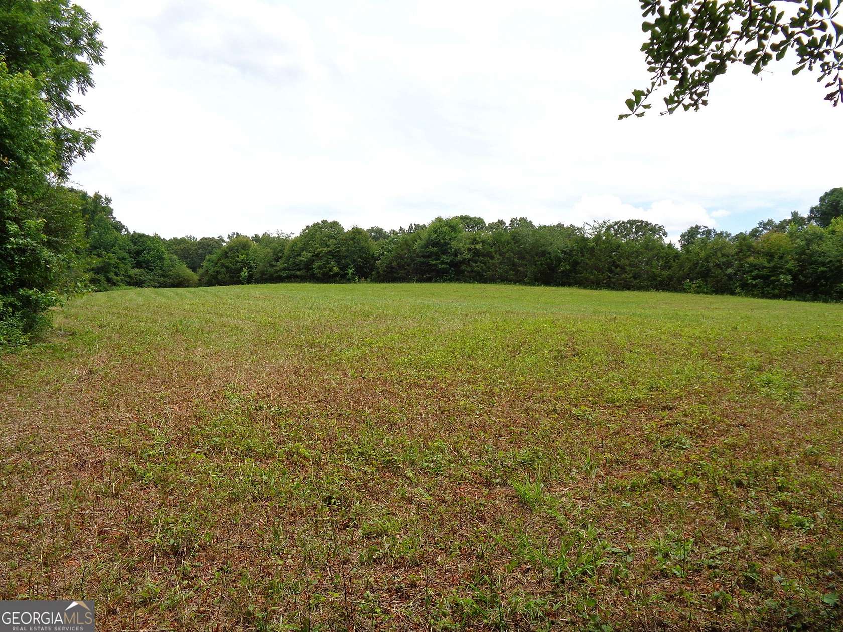 18.5 Acres of Land for Sale in Carnesville, Georgia
