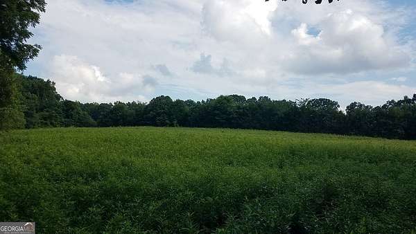 18.5 Acres of Land for Sale in Carnesville, Georgia